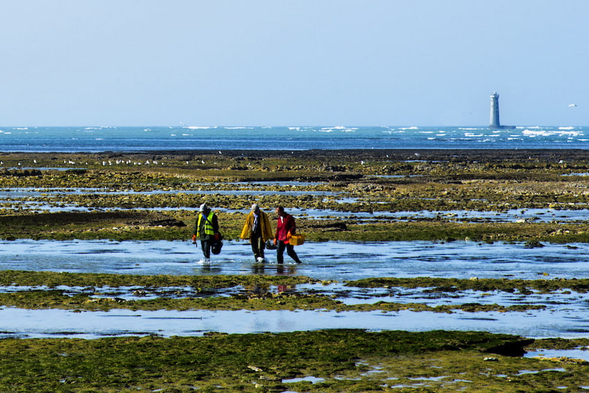 Phare des Baleinaux